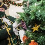 Arohanui Hospice encourage community to visit Tree of Remembrance