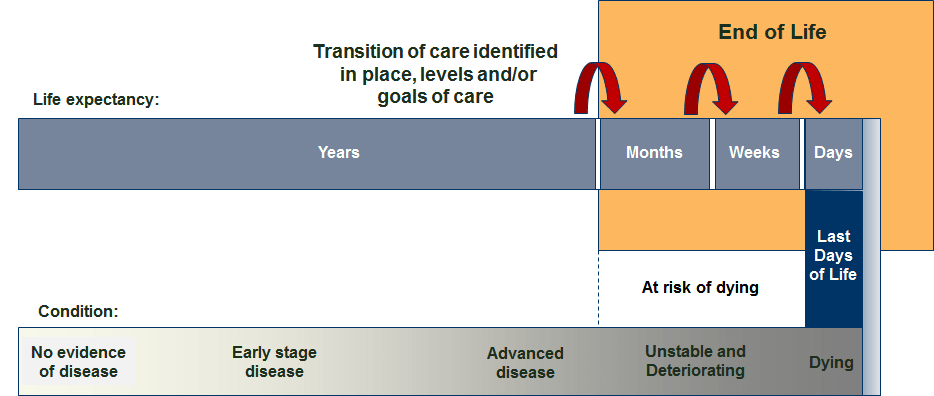 Diagram showing end of life and last days of life