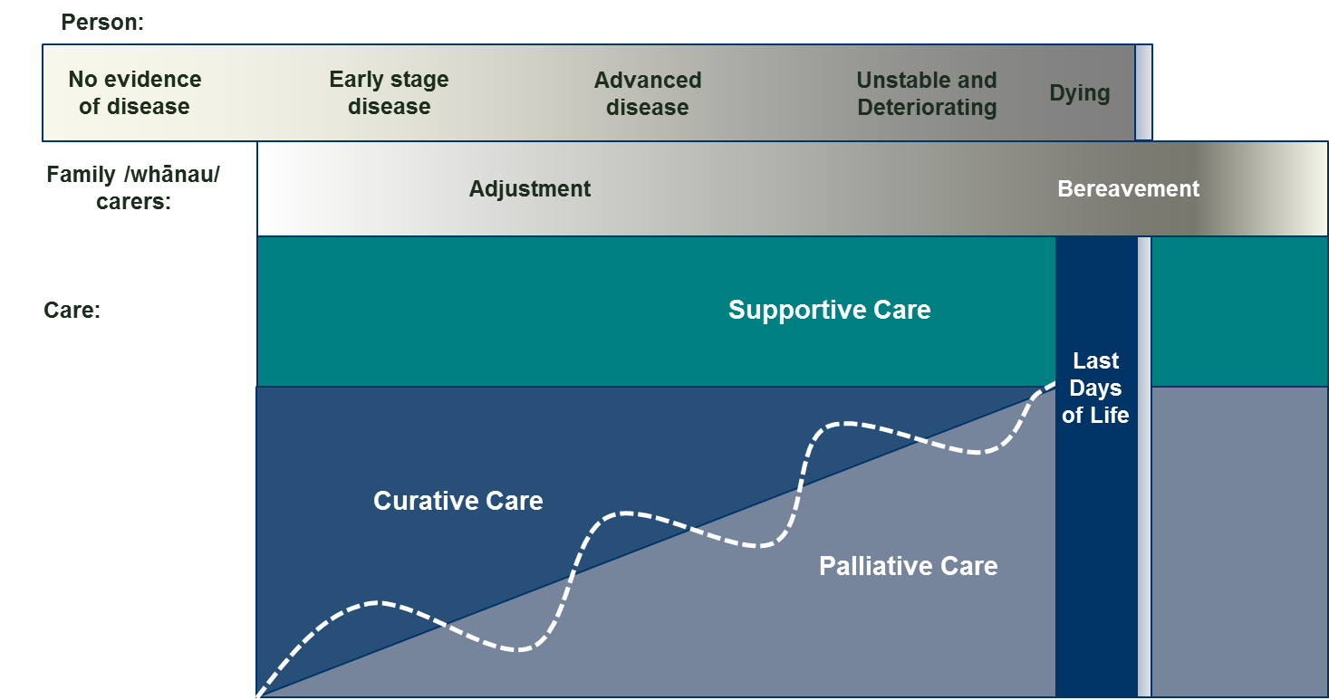 Diagram showing the Adjustment, support and palliative care for adults