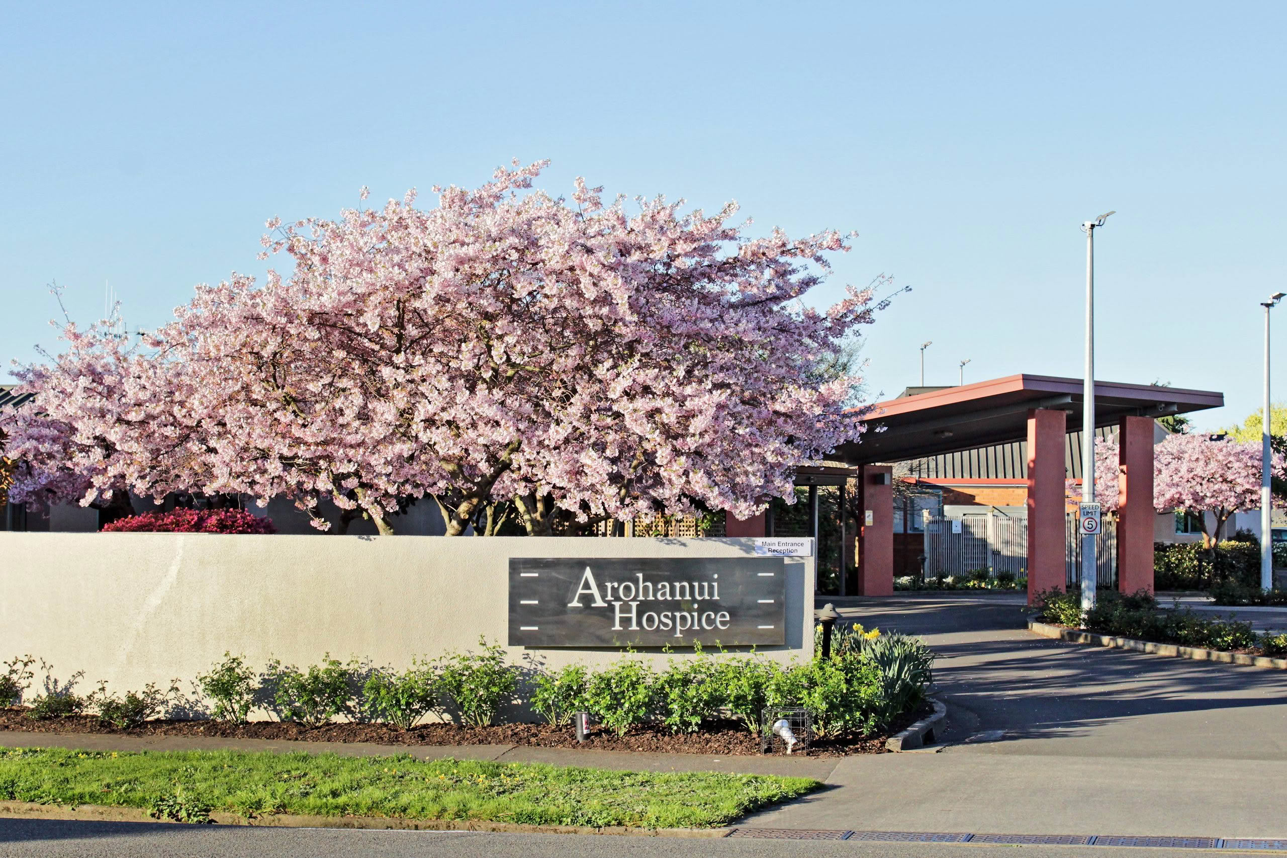 Arohanui Hospice Logo Colour